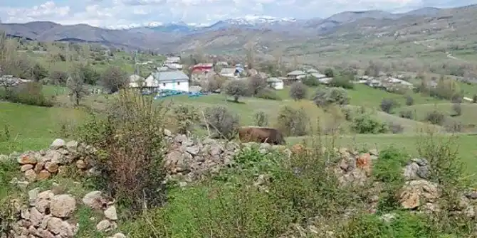 Pirili Köyü